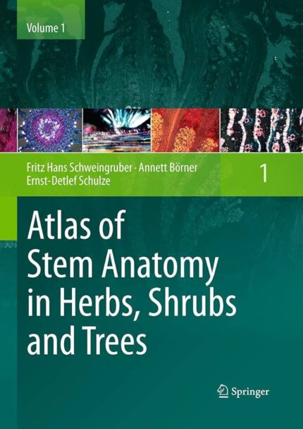 Atlas of Stem Anatomy in Herbs Shrubs and Tree